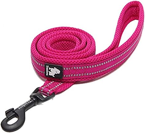 TRUE LOVE Truelove Dog Leash TLL2111 Puppy Walking Lead Leash,Pet Chain Rope,Handle Traction Rope,Padded Reflective Night Safe Leading Length 200cm Now Available (M, Blue)