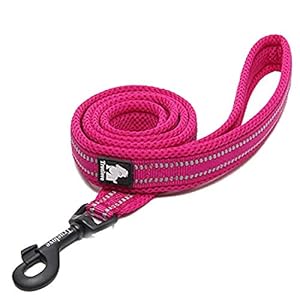 TrueLove Guinzaglio Imbottito per Cani con Catarifrangenti, 200 cm (Mod. TLL2111)
