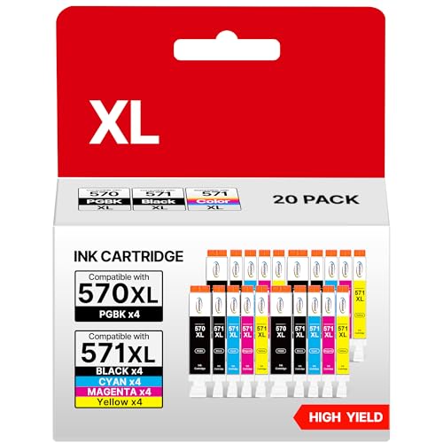 Cartouches d'encre PGI-570 CLI-571 XL RUDGUZ pour imprimante Canon PIXMA MG5750 TS5050 - Pack de 20