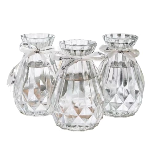Soulnioi Jarrones de vidrio transparente para flores con cuerda de seda, jarrón de jacinto/jarrón hidropónico transparente para decoración del hogar, vidrio de plantas para flores de escritorio,