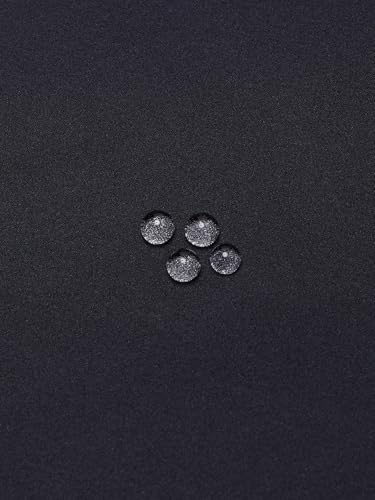 THE NORTH FACE マウンテンソフトシェルフーディ レディース