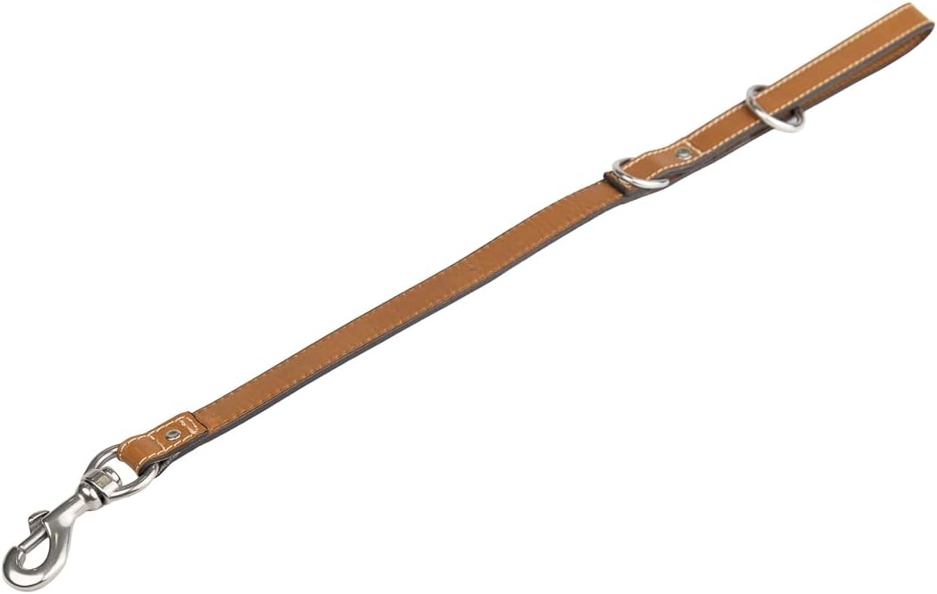 Personalized Leather Reflective Dog Leash - Custom Engraving - Handcrafted - Full Grain Leather (Vegetable Tanned) - Stainless Steel Hardware - Honey, Medium (4 ft)