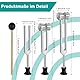POFIBO Stimmgabel Set (128Hz/256Hz/512Hz) Neurologische Stimmgabel - Stimmgabel für Frequenztherapie, Stimmgabel therapie, Yoga und Meditation (mit Hammer)