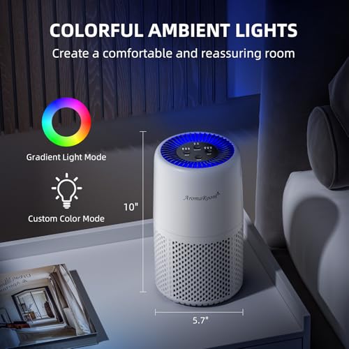 AromaRoom H13 HEPA Air Filter