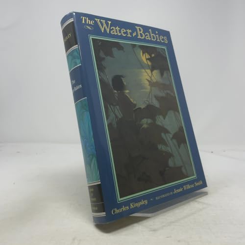 The Water-Babies (Books of Wonder)