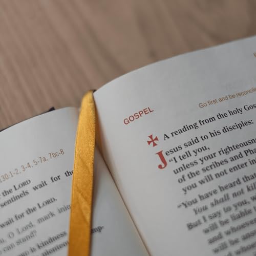15th Sunday in Ordinary time (A)