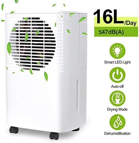 bagni portatili interni