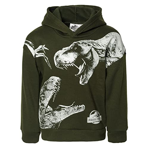 Jurassic World Dinosaur T-Rex Fleece Pullover Hoodie Toddler to Big Kid