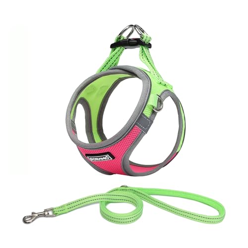 DORAMIO Dog Harness Small Dogs with Lead, Step-in Harness, Reflective, Breathable Chest Harness, Anti-Pull Safety Harness, Cat Harness for Small Dogs, Cats (M, Rose Red)