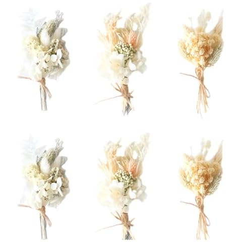 6 Pcs Mini Dried Flower Bouquets by Fadcaer Cover