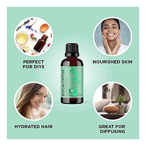 Pure Eucalyptus Essential Oil For Diffuser - Natural Eucalyptus Aromatherapy Diffuser Oil For Scalp Hair Skin And Nails - Undiluted Eucalyptus Essential Oils For Diffusers For Home And Self Care #TOP3