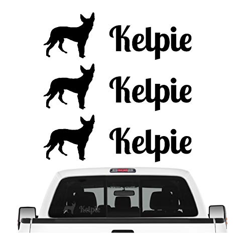siviwonder Kelpie Australian Barb Aufkleber 3er Set Hundeaufkleber Hundemotiv Hund Folie Farbe Schwarz, Größe 10cm