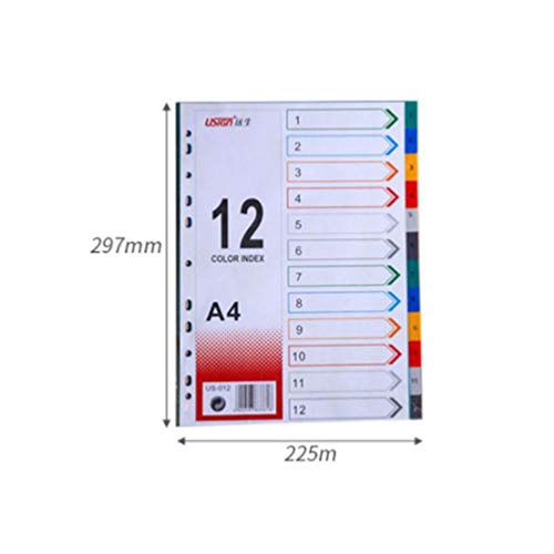 Divisores de páginas NUOBESTY A4, Divisor de página com divisor colorido para caderno, 24 folhas