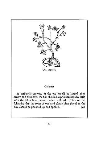 An Aztec Herbal: The Classic Codex of 1552 - Image 11