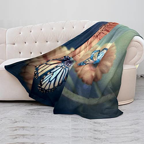 Couverture polaire haut de gamme en microfibre Light Rays - 5