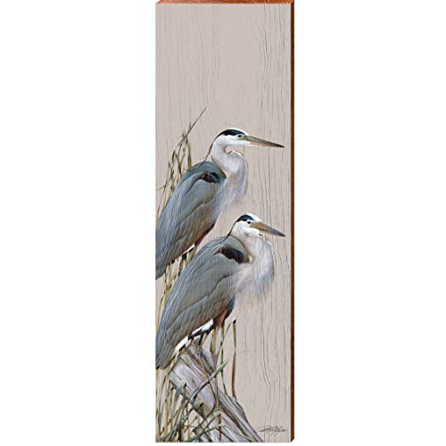 Art Lamay | Blue Herons - Tween 5.5