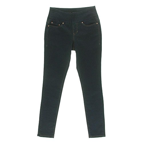Jag Jeans Women's Petite Nora Pull On Skinny Jean