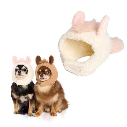 [LIFELIKE]  ܂Lbv  jbg Lbv jbgLbv 蕨 Ԃ Xq  x E}  nN 2026N N RXv ^ ^ [L[ ` _bNX gCv[ r[O R[M[ Be L