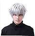 Cosplay Tokyo Ghoul Ken Kaneki Lisci Corti per gli uomini sintetiche termoresistenti Nero Bianco Anime dei capelli del costume di Halloween Parrucche