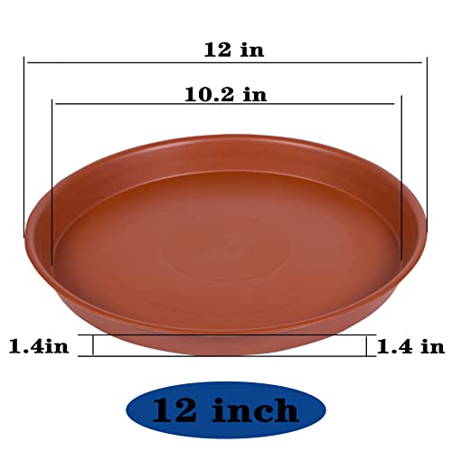 Bleuhome 6 Stück 30,5 cm Pflanzen-Untersetzer, robuster Kunststoff, 30,5 cm rund, Pflanzschale für Töpfe… – Ansicht 2