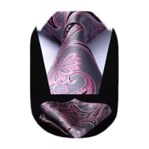 HISDERN Cravate Rose et Argent Cover
