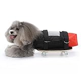 Dog Cat Wheelchair for Back Legs, Pet Walking Scooter with Silent Wheels, Disabled Dog Cat Assist Scooter, Your Pet Chest and Limbs (M(Suitable for 4‑6kg/8.8‑13.2lb))