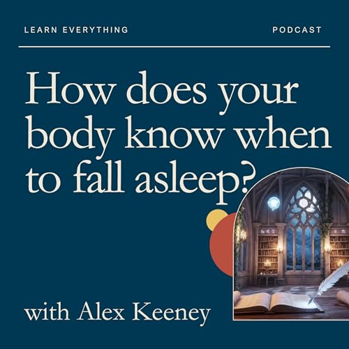 How does your body know when to fall asleep?