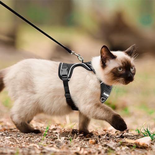 Cat Harness, Cat Harness and Leash for Walking, Adjusted in Four Directions and Breathable Cat Harness for Anti Escape that can be Fitted and Positioned, Reflective Strips Harness, Black, M — view 5