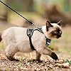 Cat Harness, Cat Harness and Leash for Walking, Adjusted in Four Directions and Breathable Cat Harness for Anti Escape That can be Fitted and Positioned, Reflective Strips Harness, Black, M #5