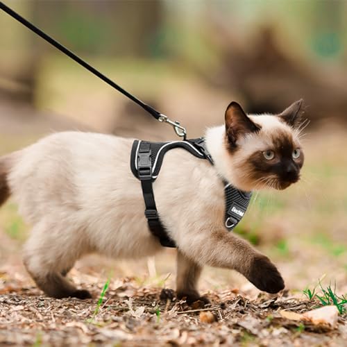 Cat Harness, Cat Harness and Leash for Walking, Adjusted in Four Directions and Breathable Cat Harness for Anti Escape that can be Fitted and Positioned, Reflective Strips Harness, Black, L by Aevyri - Image 6