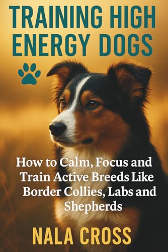 Training High-Energy Dogs: How to Calm, Focus, and Train Active B...