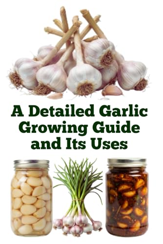 A Detailed Garlic Growing Guide and Its Uses
