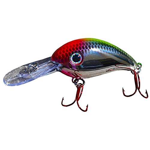 Arkie Lures CD3-35 350 Series Crankbait- #35 Chrome Clown : Sports & Outdoors