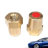 Large compatibilité : la conception du trou intérieur fileté multi-spécifications de notre connecteur de borne de batterie de voiture de 6 mm, 8 mm, 10 mm répond aux exigences des différentes batteries supérieures standard. Sa connexion flexible convient aux batteries au plomb ou autres types de batteries