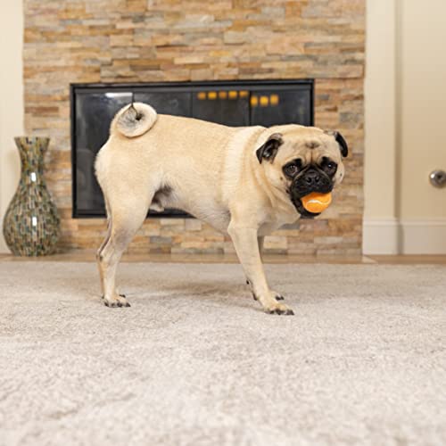 Hyper Pet Mini Tennis Balls For Dogs, Pet Safe Dog Toys For Exercise & Training, Pack Of 4, Orange (0082Orea), Small #TOP5