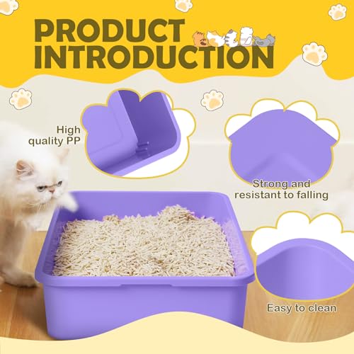 Kit 5 areneros pequeños para gatos y conejos miniatura 7