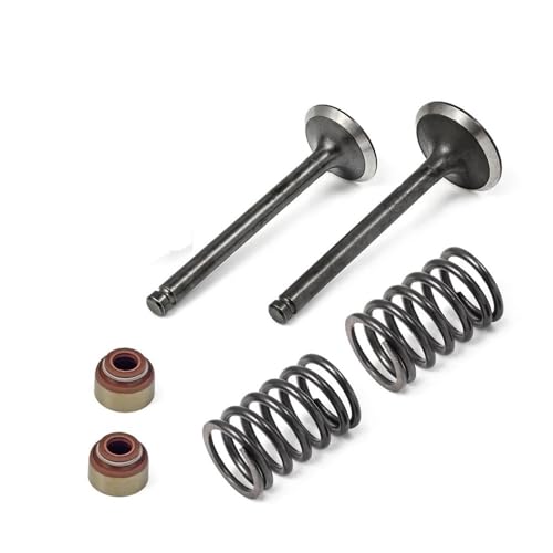 Ressorts d'étanchéité moteur de voiturette golf Club Car FE290 92+