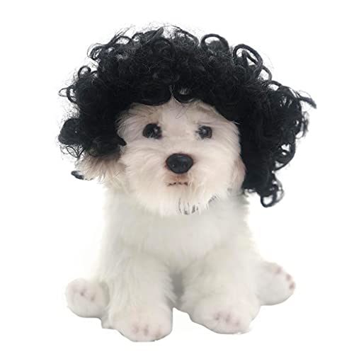 t@bVʔybgEBbOJ[wA\ȒeXgbvtnEBNX}XtFXeBoJrAp[eB[킢ybgEBbOLp