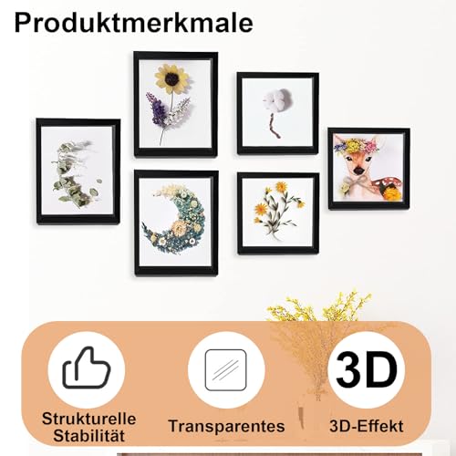 Bilderrahmen zum Befüllen, Befüllen Groß Schaukasten Wand, 30 x 30 cm, mit Transparente Acrylplatte, 3D Objektrahmen Tiefer 3cm, Quadratischer Stereoskopischer Rahmen, Wände, Kunsthandwerk, Schwarz