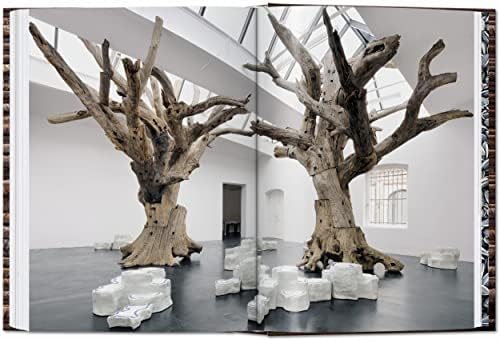 Ai Weiwei. 40th Ed.