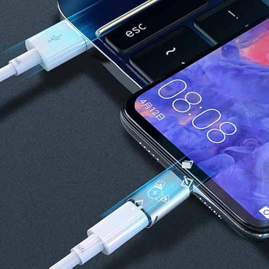 ルーメン USB Type-Cメス ⇒ Lightningオス 変換アダプタ 充 Amazon.co.jp: Lumen ルーメン Lightningメス ⇒ USB Type-Cオス 変換