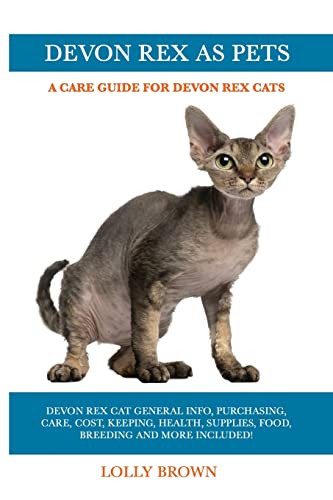 Devon Rex as Pets: Devon Rex Cat General Info, Purchasing,