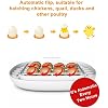 Product Photo 4
