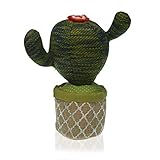 material:plástico Versa Sujetapuertas Cactus Figuritas Decorativas, Verde, Multicolor, Única