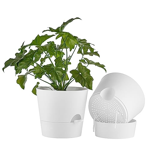 FaithLand - 2er-Pack Blumentöpfe, 25,4 cm, für Zimmerpflanzen und Außenbereich, Selbstbewässernde Blumentöpfe mit tiefem Wasserspeicher… – Ansicht 1