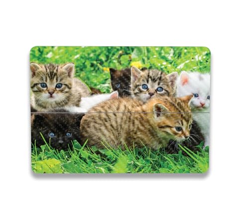 Image of MightySkins Carbon Fiber Skin Compatible with Microsoft Surface Laptop Studio 2 (2023) Full Wrap Kit - Field of Kittens | Protective, Durable Textured Carbon Fiber Finish | Made in The USA
