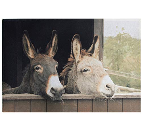 Unbekannt [W] Fußmatte 2 esels 75x50cm