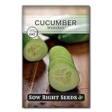 Sow Right Seeds - Muncher Cucumber Seeds for Planting Outdoors - Ideal for Pickling - High-Yield - Easy to Grow Variety - Non-GMO Heirloom Cucumber - Perfect for Home Garden (1)