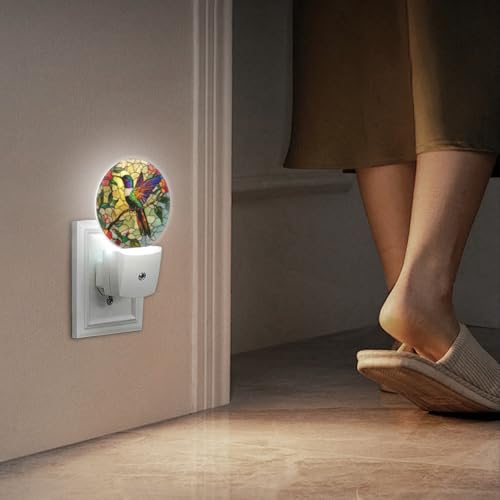 Image of LED Night Lights Lamp with Dusk to Dawn Sensor, Colorful Hummingbird Perched On Branch Night Light Plug Into Wall for Kids Room, Bedroom, Bathroom, Kitchen, Hallway