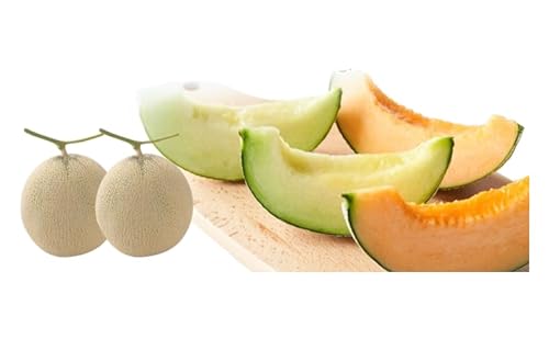 [Amazon.co.jp限定][2026年発送 先行受付]ふらの産 しあわせのメロン 赤肉 青肉 2玉 セット 計4kg 果物 フルーツ 甘い ギフト 贈答 産地直送 お取り寄せ ウエノ農園 北海道 富良野市